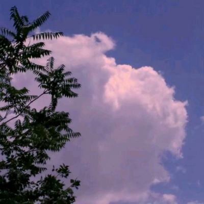 魔幻陀螺2斗魂觉醒九游安卓下载
