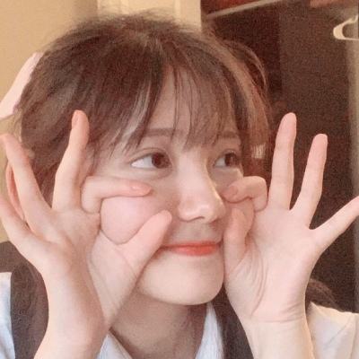 功夫之夜最新版本下载安装